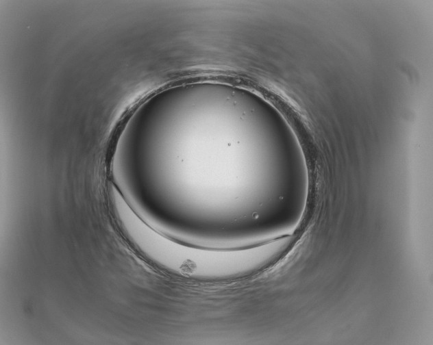 X0000111851357200907301102