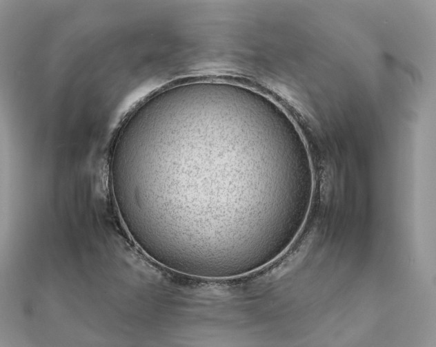 X0000111851358200907301102