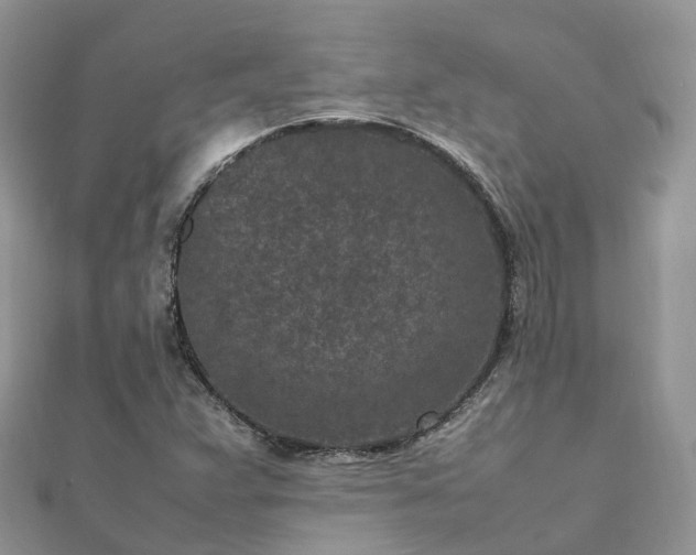 X0000111851359200907301102