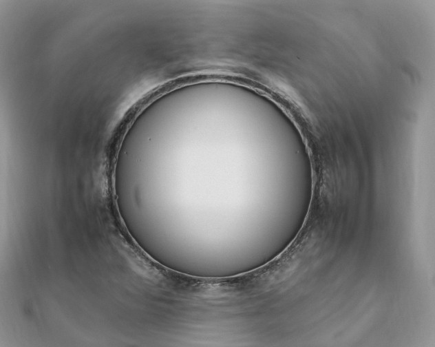 X0000111851360200907301102