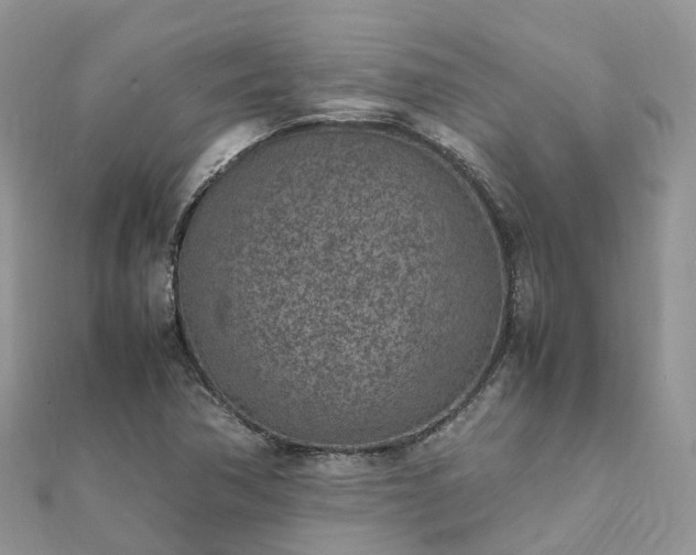 X0000111851362200907301102