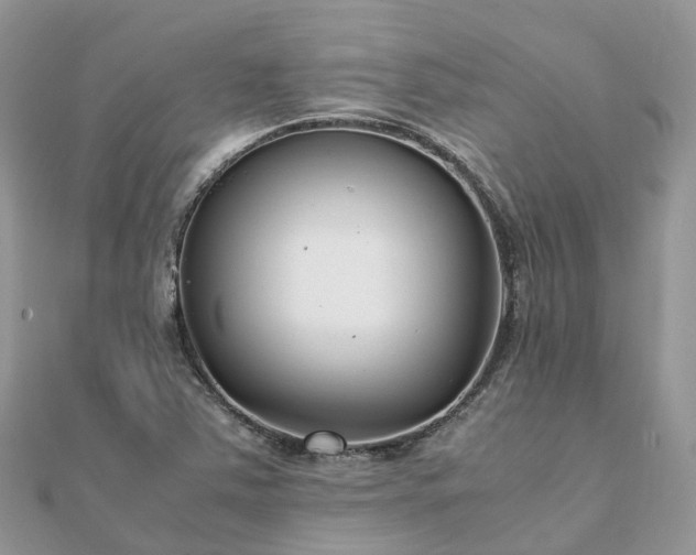 X0000111851363200907301102