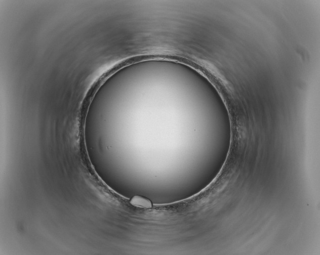 X0000111851364200907301102