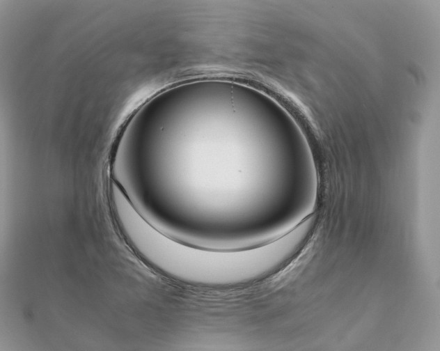 X0000111851365200907301102