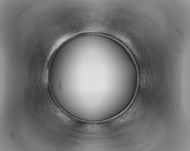 X0000111851366200907301102