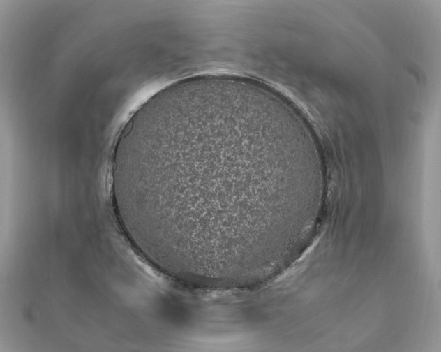 X0000111851367200907301102