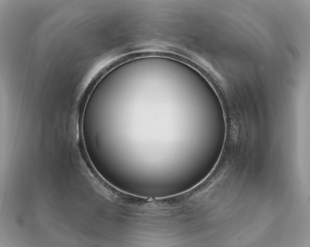 X0000111851368200907301102