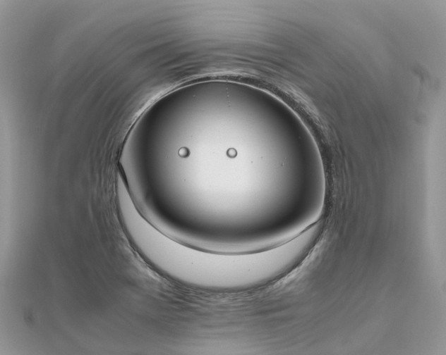 X0000111851369200907301102