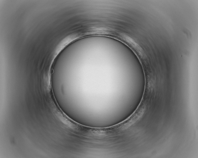 X0000111851370200907301102