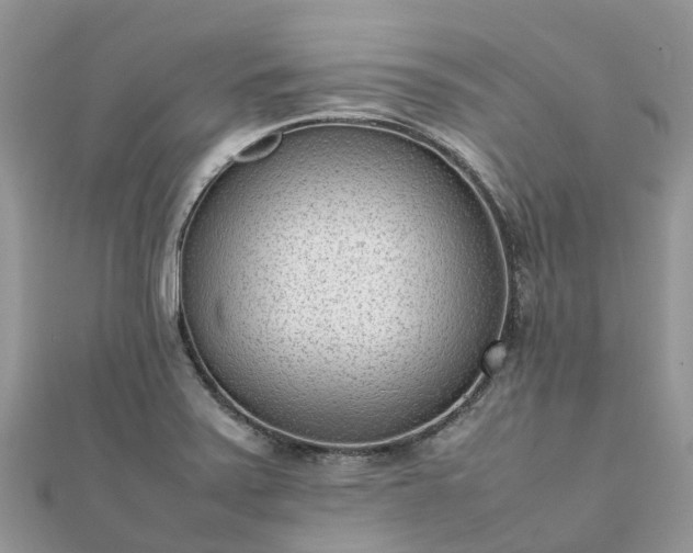 X0000111851371200907301102
