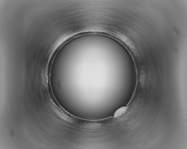 X0000111851372200907301102