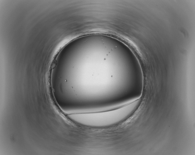X0000111851373200907301102