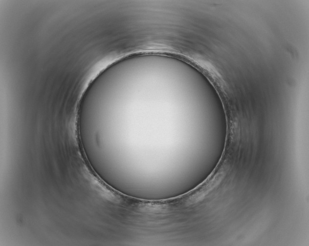X0000111851374200907301102