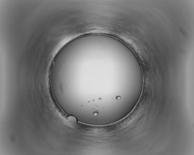 X0000111851375200907301102