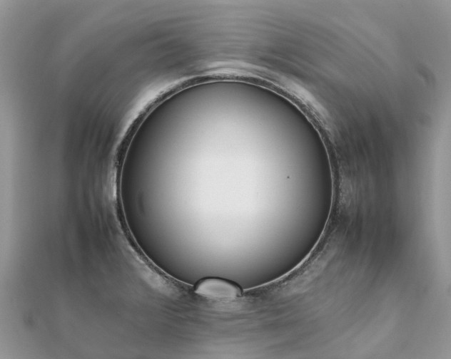 X0000111851376200907301102