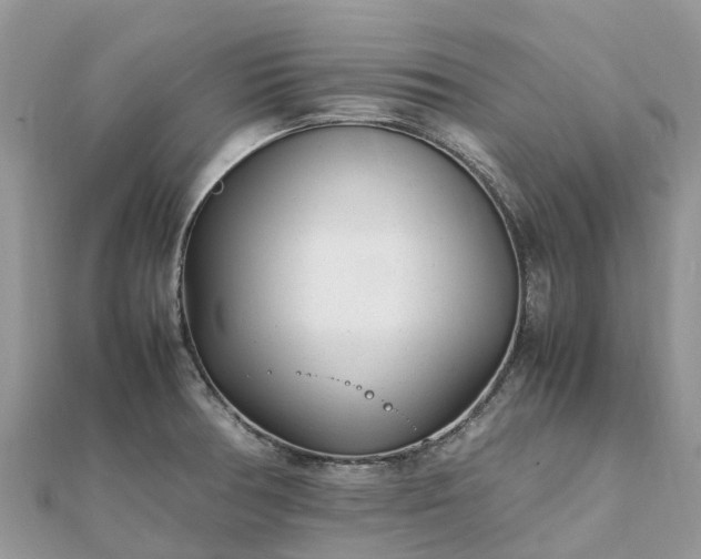 X0000111851378200907301102