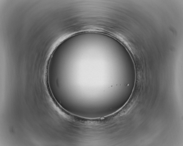 X0000111851379200907301102