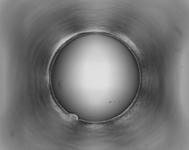 X0000111851380200907301102