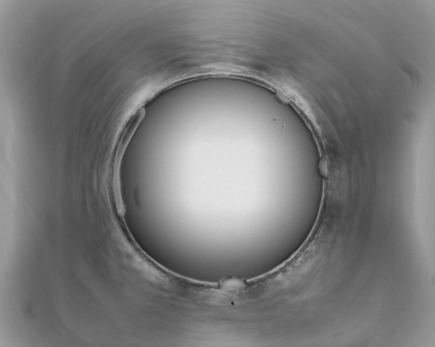X0000111851381200907301102