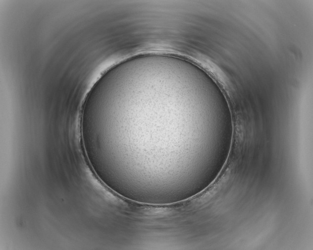X0000111851382200907301102