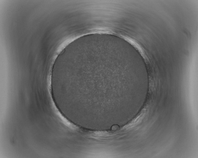 X0000111851383200907301102