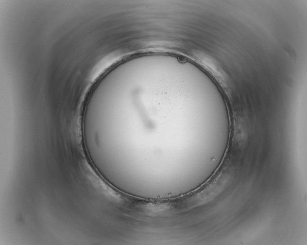 X0000111851384200907301102