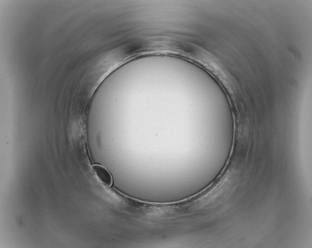X0000111851385200907301102