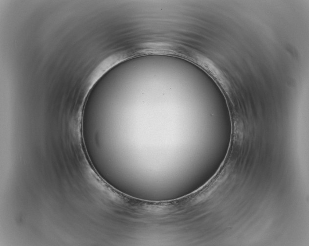 X0000111851386200907301102