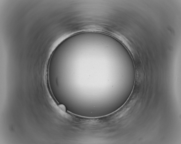 X0000111851387200907301102