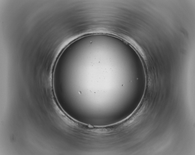 X0000111851388200907301102