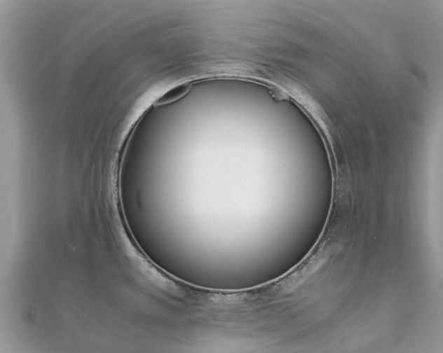 X0000111851389200907301102