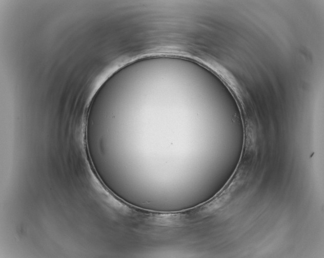 X0000111851390200907301102