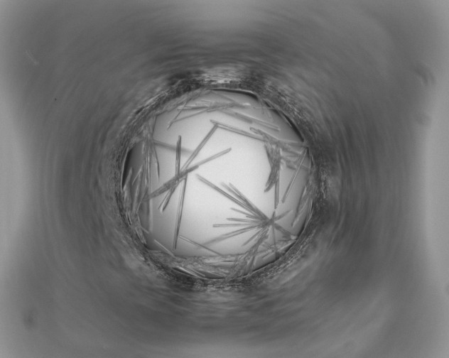 X0000111851393200907301101