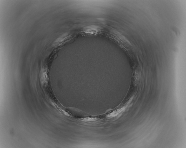 X0000111851394200907301101