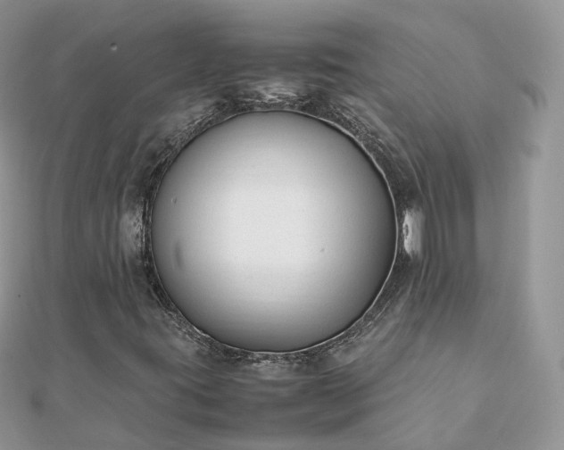 X0000111851395200907301101