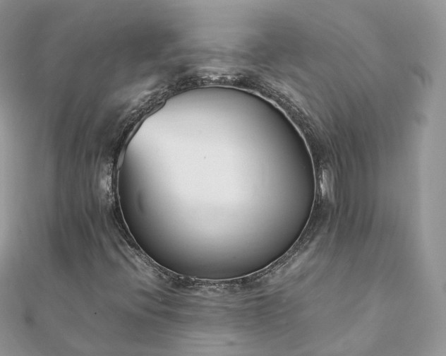 X0000111851396200907301101