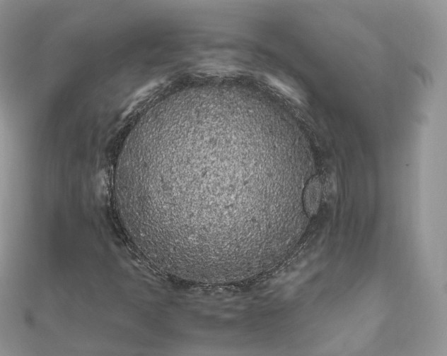 X0000111851397200907301101