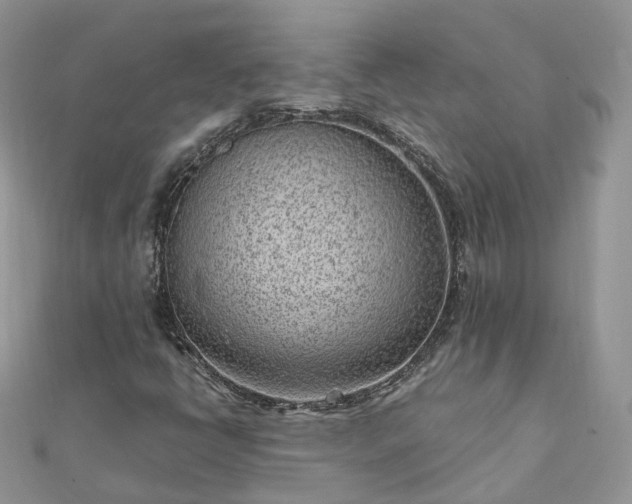 X0000111851398200907301101