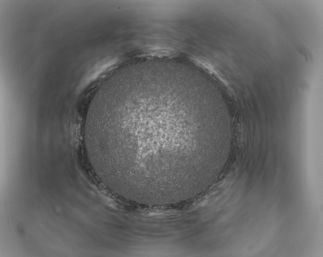 X0000111851399200907301101