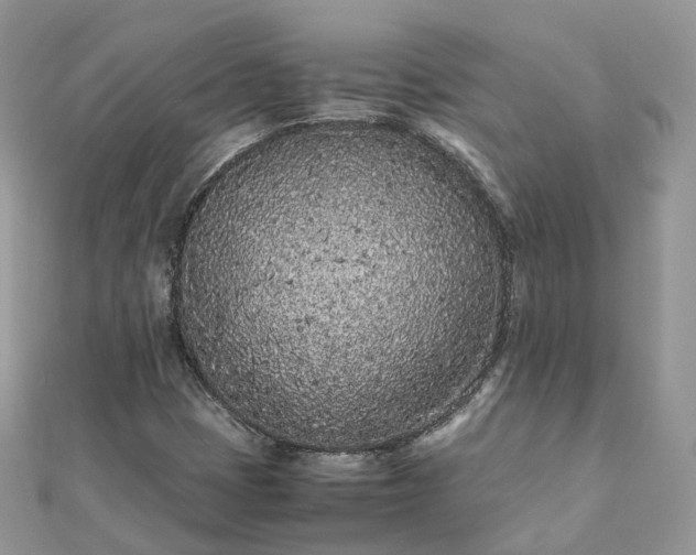 X0000111851401200907301101