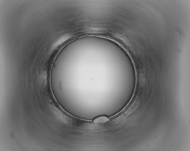X0000111851402200907301101