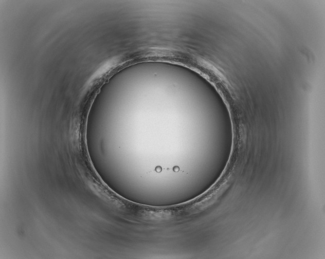X0000111851403200907301101