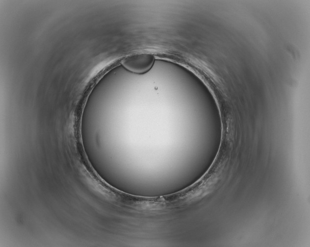 X0000111851404200907301101