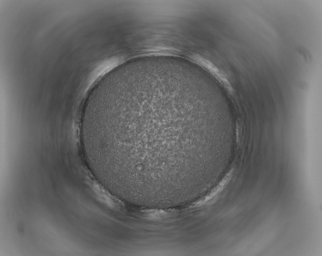 X0000111851405200907301101