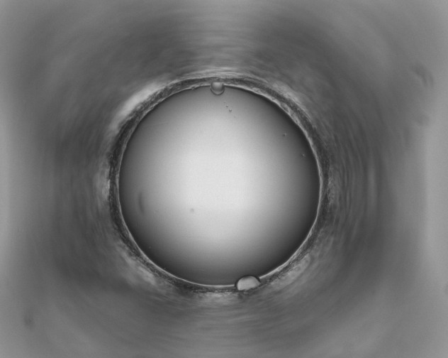 X0000111851406200907301101