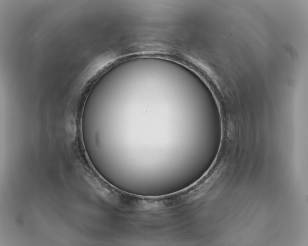 X0000111851407200907301101