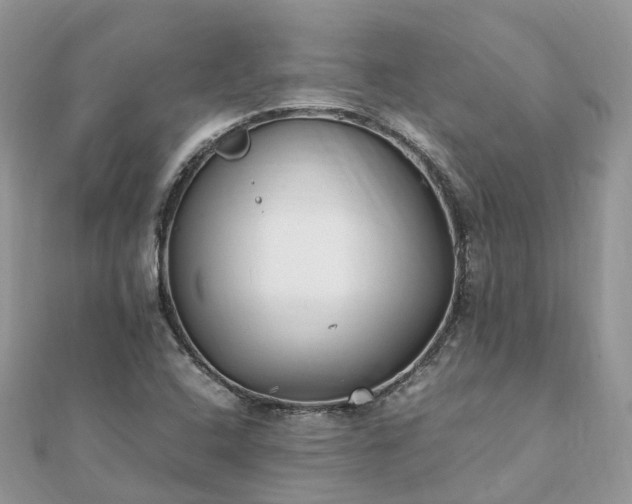 X0000111851408200907301101