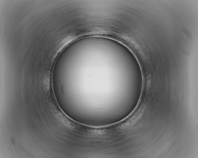 X0000111851409200907301101