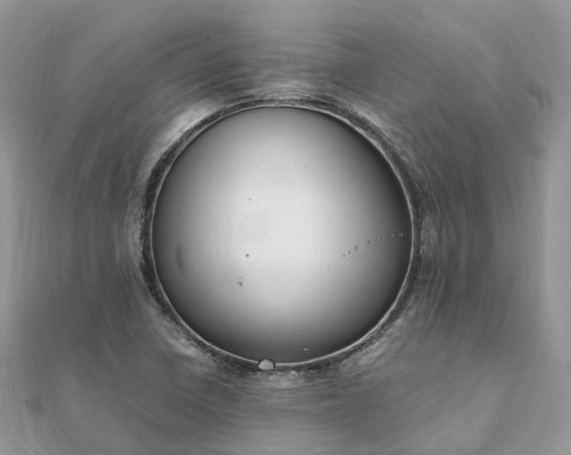 X0000111851410200907301101