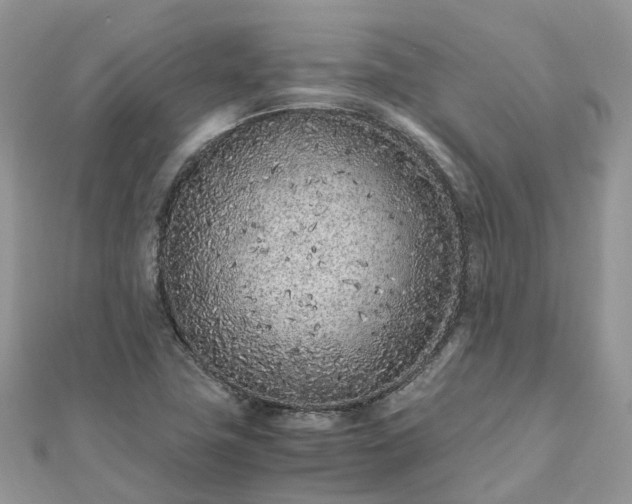 X0000111851411200907301101